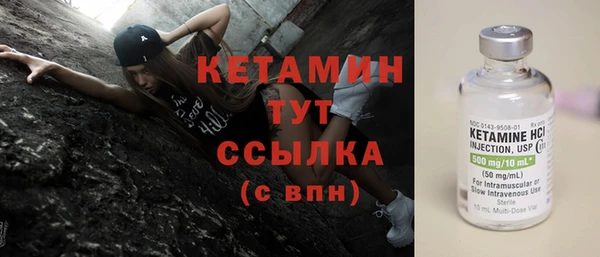 шишки Переславль-Залесский