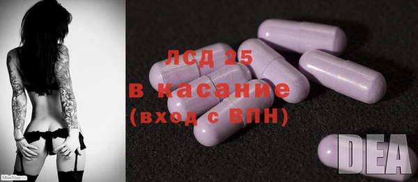 a pvp Пересвет