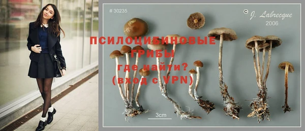 дурь Алзамай